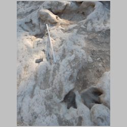 07-DSCN0452 Baby in context.jpg